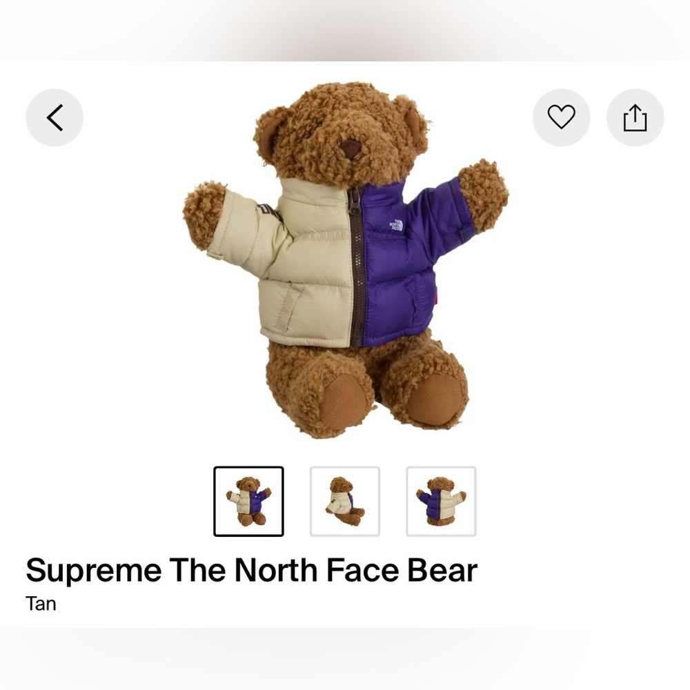 The North Face Bear with Cream and Purple Jacket